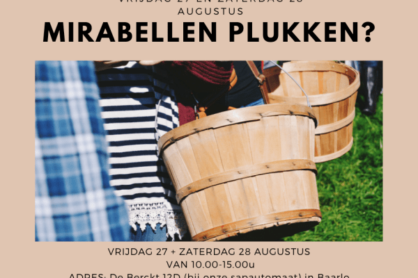 MIRABELLEN PLUKKEN.png